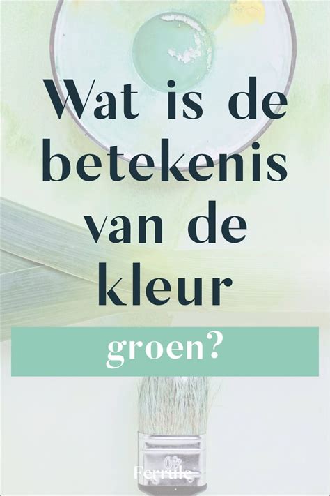 Wat is de betekenis van on fleek .